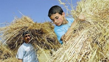 Photo: ${params.title}