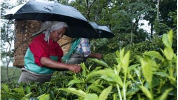 Photo: ${params.title}