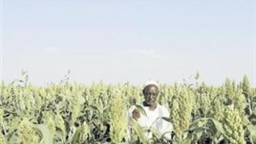 Photo: ${params.title}