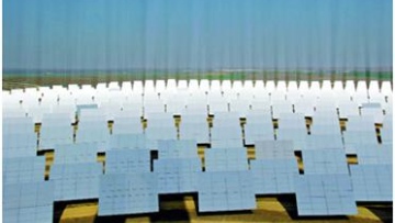 Photo: ${params.title}