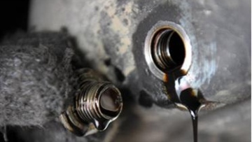 Photo: ${params.title}