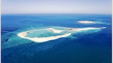 Photo: ${params.title}