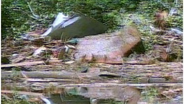 Photo: ${params.title}