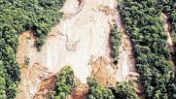 Photo: ${params.title}