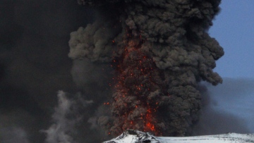 Photo: ${params.title}