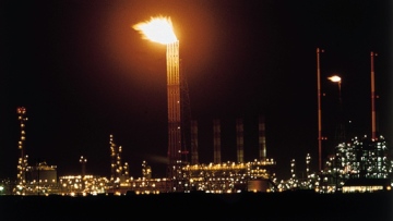 Photo: ${params.title}