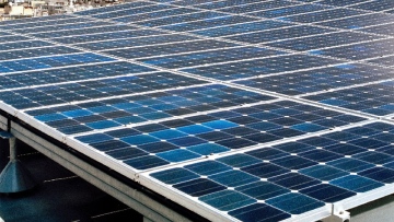 Photo: ${params.title}