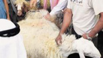 Photo: ${params.title}