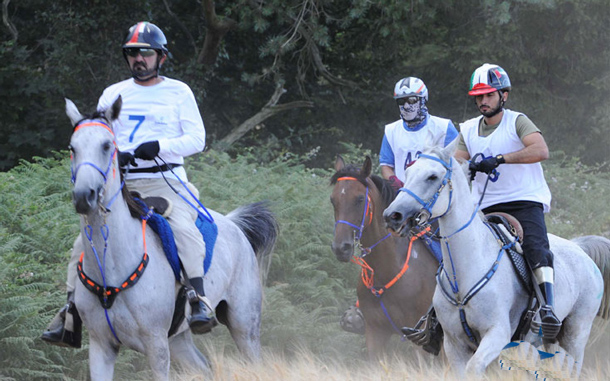 Sheikh Mohammed and Sheikh Hamdan negotiate the rough terrain. (www.sheikhmohammed.ae)