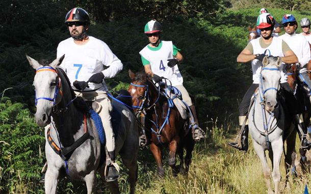 Sheikh Mohammed leads the way. (www.sheikhmohammed.ae)