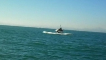 Photo: ${params.title}