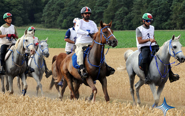 Mohammed and Hamdan lead the UAE team through a field of wheat. (SUPPLIED)