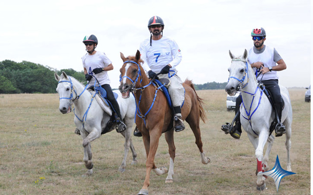The UAE team gallop onward. (SUPPLIED)