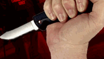 Photo: ${params.title}