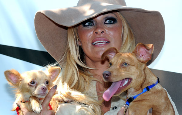 Actress Pamela Anderson holds Bardot, left, and Gina Lollobrigida. (AP)