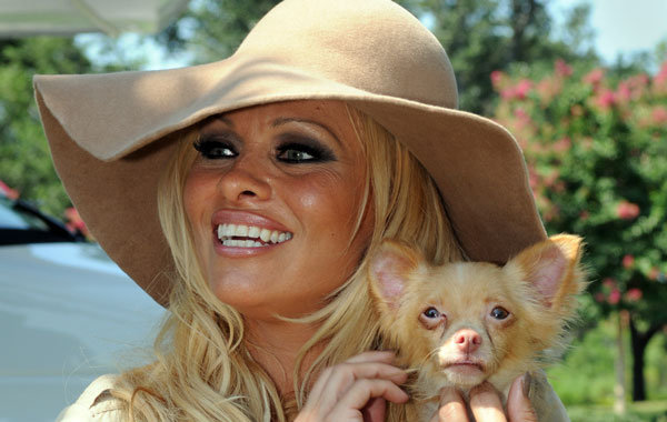 Actress Pamela Anderson holds a Chihuahua mix that she named Bardot (AP)