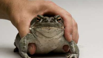 Photo: ${params.title}