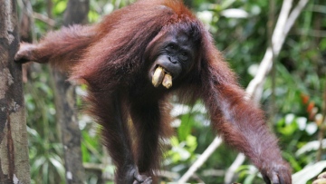 Photo: ${params.title}