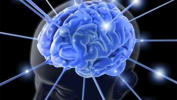 Photo: ${params.title}