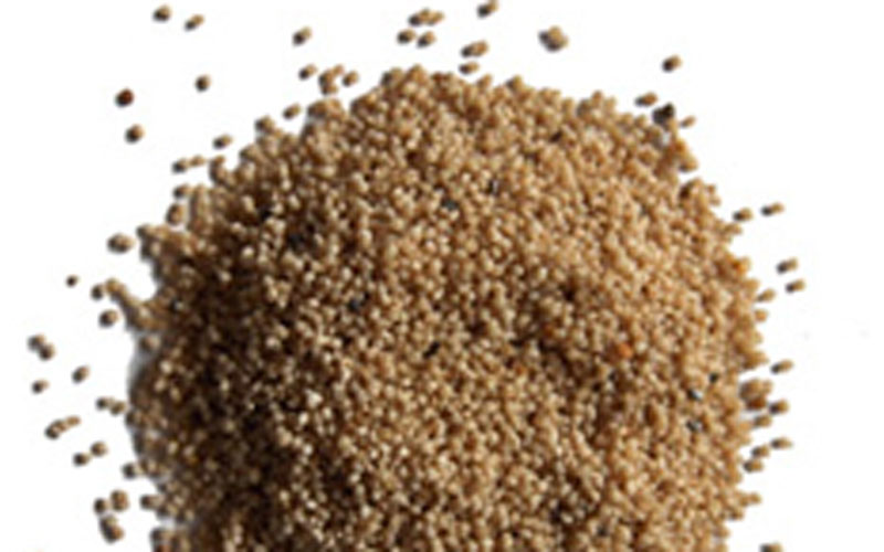 'I use poppy seeds to treat stomach pain' News Emirates Emirates247