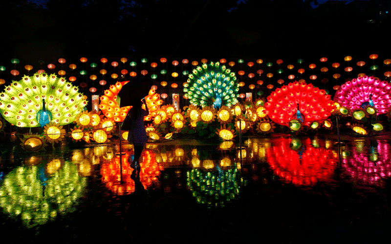 A Hong Konger walks by illuminations set up at popular Victoria Park to celebrate the Chinese Mid-Autumn Festival in Hong Kong. (AP)