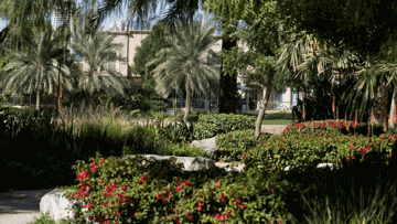 Photo: ${params.title}