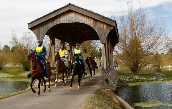 Maria Mercedes Alvarez Ponton from Spain (L) riding Nobby leads Sheikh Mohammed bin Rashid al Makhtoum of the United Arab Emirates (2nd L) riding Ciel Oriental and Alisija Zabavska-Granger riding Merlin (77) during the World Endurance Championship at the World Equestrian Games in Lexington, Kentucky. (REUTERS)