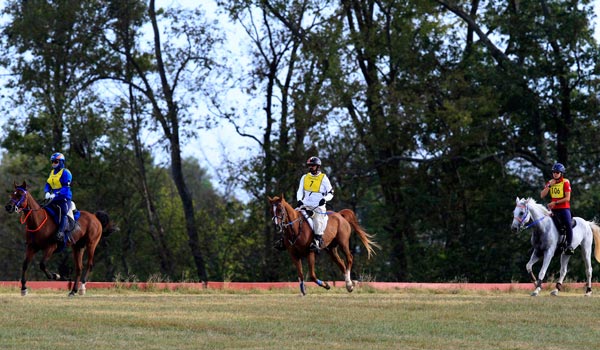 Maria Mercedes Alvarez Ponton (L) of Spain riding Nobby leads Sheikh Mohammed bin Rashid Al Maktoum (C) riding Ciel Oriental and Heather Reynolds of the U.S. riding Ssamiam during the World Endurance Championship at the World Equestrian Games in Lexington, Kentucky. (REUTERS)