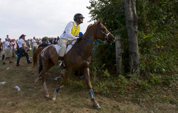 Sheikh Mohammed bin Rashid al Makhtoum of the United Arab Emirates riding Ciel Oriental competes during the World Endurance Championship at the World Equestrian Games in Lexington, Kentucky. (REUTERS)