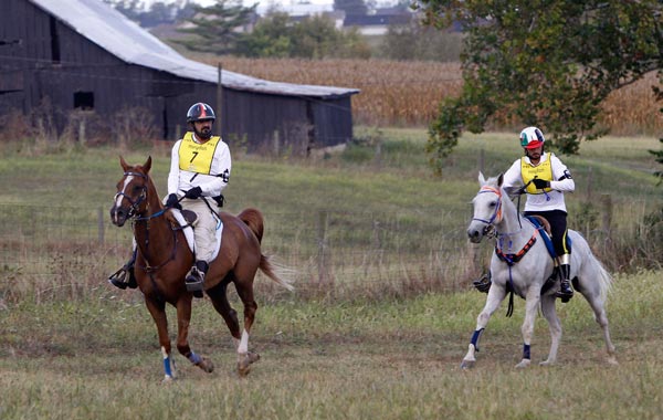 Members of the United Arab Emirates team Sheikh Mohammed bin Rashid al Makhtoum (7) riding Ciel Oriental and Sheikh Majid bin Mohammed al Makhtoum riding Kangoo D'Aurabelle compete in the endurance championship at the World Equestrian Games in Lexington, Kentucky. (REUTERS)