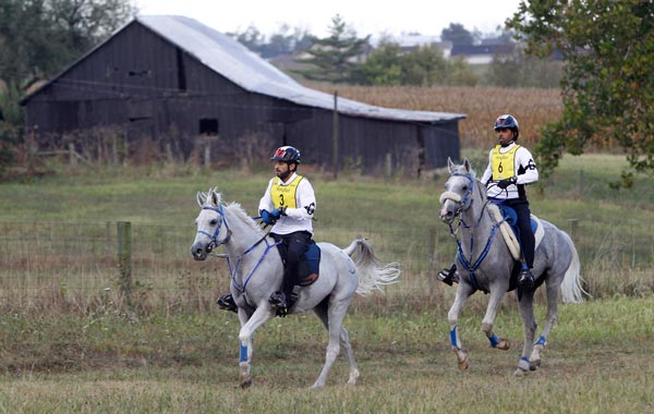 Members of the United Arab Emirates team Sheikh Hamdan bin Mohammed al Makhtoum (3) riding SAS Alexis and Ali Mohammed al Muhairi riding Churinga Kagebee compete in the endurance championship at the World Equestrian Games in Lexington, Kentucky. (REUTERS)