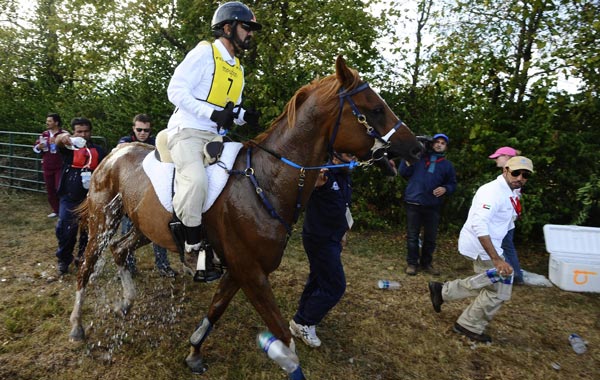 Ciel Oriental ridden by HH Sh Mohammed bin Rashid AL Maktoum from United Arab Emirates gets watered down at a watering area during the Endurance Championship during the World Equestrian Games in Lexington, Kentucky. (EPA)