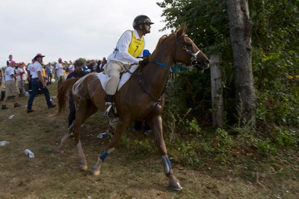Sheikh Mohammed bin Rashid al Makhtoum of the United Arab Emirates riding Ciel Oriental competes during the World Endurance Championship at the World Equestrian Games in Lexington, Kentucky. (REUTERS)