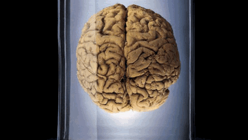 Photo: ${params.title}