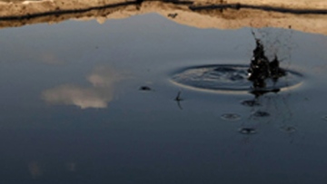 Photo: ${params.title}