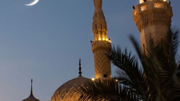 Photo: ${params.title}