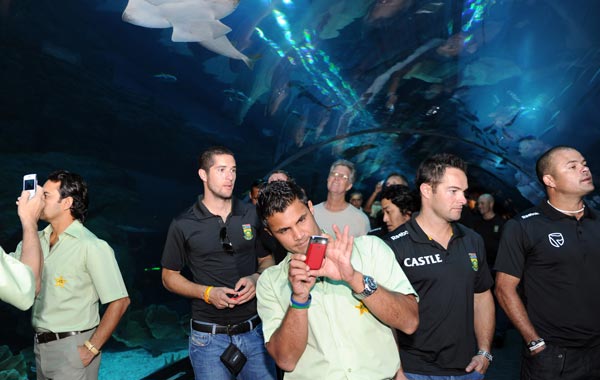 South African and Pakistan cricket team players visit the Dubai Aquarium , as the team attended a ceremony to mark the 100 days countdown to the ICC World Cup, to be hosted by India, Sri Lanka and Bangladesh the first time cricket's showpiece event is played in South Asia. (AFP)