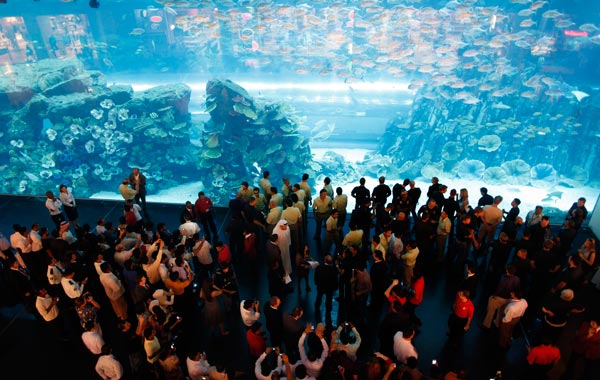 Fans wait for South African cricket players Morne Morkel and Dale Steyn to take the trophy of ICC’s flagship event to the bottom of the aquarium tank at the Dubai Aquarium. (REUTERS)