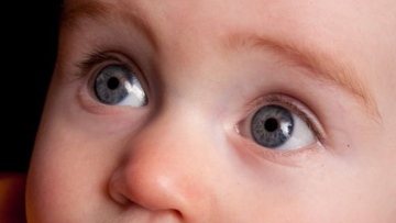 Photo: ${params.title}