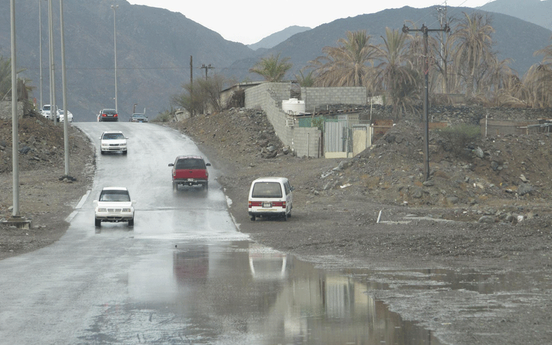 Rains in recent days have brought the winter and a green tinge to UAE's mountains and wadis (WAM)