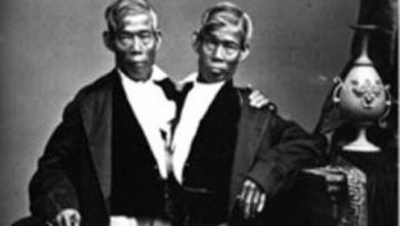 Photo: ${params.title}