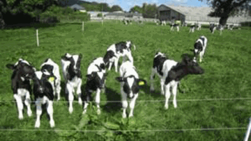 Photo: ${params.title}