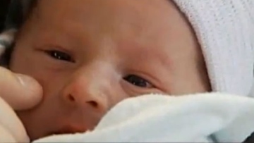 Photo: ${params.title}