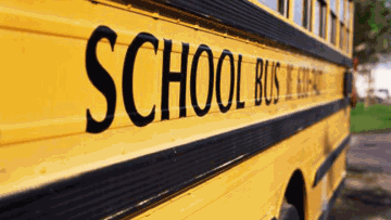 Photo: ${params.title}