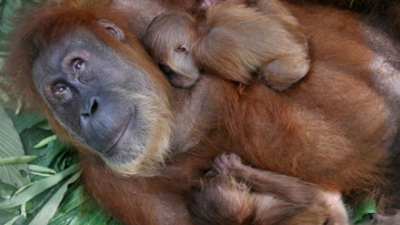 Photo: ${params.title}