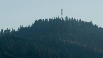 Photo: ${params.title}