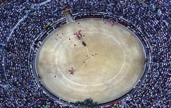 An aerial view shows a bull being taken out of the La Santamaria bullring during a bullfight in the Santamaria arena in Bogota February 20, 2011. (REUTERS)