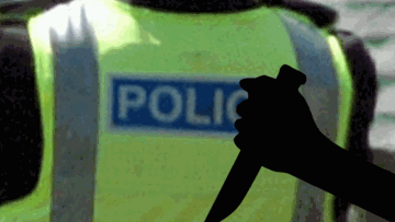 Photo: ${params.title}