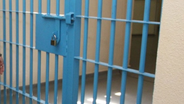 Photo: ${params.title}