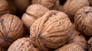 Photo: ${params.title}